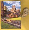 2023 Kirkstall Abbey.jpg
