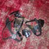 20230401_022549.jpg 20230401_022549.jpg