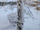 20230401_071137.jpg