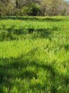 20230401_105805.jpg