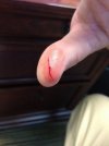 cut thumb (600x800).jpg
