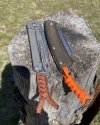 IMG_8328.jpeg
