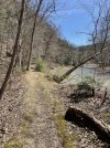 IMG_5159.jpeg