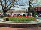 1-IMG_9796.JPG