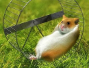 1680571106548.png
