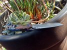 20230404_090152.jpg