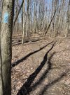IMG_5177.jpeg