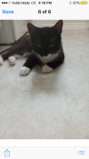 IMG_1619.PNG