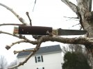DSCN0192.JPG