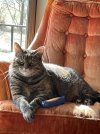 IMG_3517.jpeg