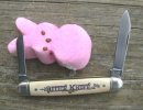 Schatt N Peep 1.JPG