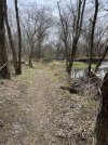 IMG_5186.jpeg
