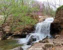 2023-04-06 Tanyard Creek Hike (17).JPG