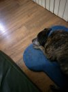 IMG20230408195144.jpg