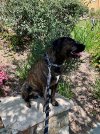 IMG_7471.jpeg
