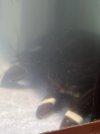 F0A9A04E-9EA5-463E-B0AD-117AA3443570.jpeg