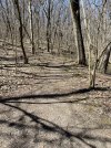 IMG_5219.jpeg
