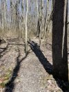 IMG_5220.jpeg