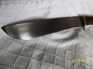 51135160roseblade.jpg 51135160roseblade.jpg