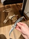 IMG_1483.jpeg