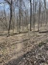 IMG_5223.jpeg