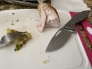 IMG_7108.jpeg