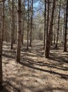 IMG_5232.jpeg