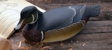 gstrunk-woodduckmale-sm.jpg