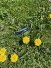IMG_5239.jpeg