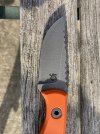 IMG_8057.jpeg