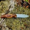 heartwood4.jpg heartwood4.jpg