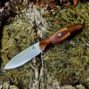 heartwood1.jpg heartwood1.jpg