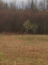 IMG_1834.JPG