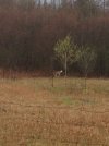 IMG_1835.JPG