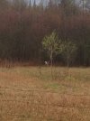 IMG_1836.JPG