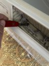 IMG_4423.jpeg