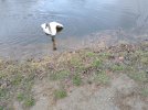 IMG_20230418_164943280.jpg