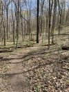 IMG_5246.jpeg