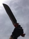 ImageUploadedByTapatalk1368630550.655281.jpg