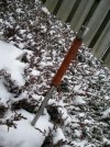 WP_001050.jpg