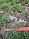 20230420_062704.jpg