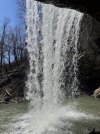 IMG_5123.jpeg