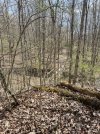 IMG_5254.jpeg