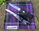 2023-04-20 Purple Haze GEC74 CASE62130.JPG