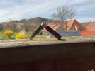 IMG_1393.jpeg