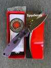 ParaMil 2 BK PR DLT Exclu  Blk Cruwear Purple G10 C81GPPRBK2 3-3-23 $170 #6.jpg