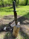 IMG_1965.jpeg