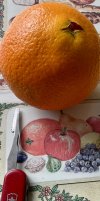 IMG_0243.jpeg