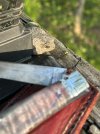 IMG_9499-compressed.jpeg