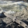 BladeForum_Bastinelli_Yachats.jpg